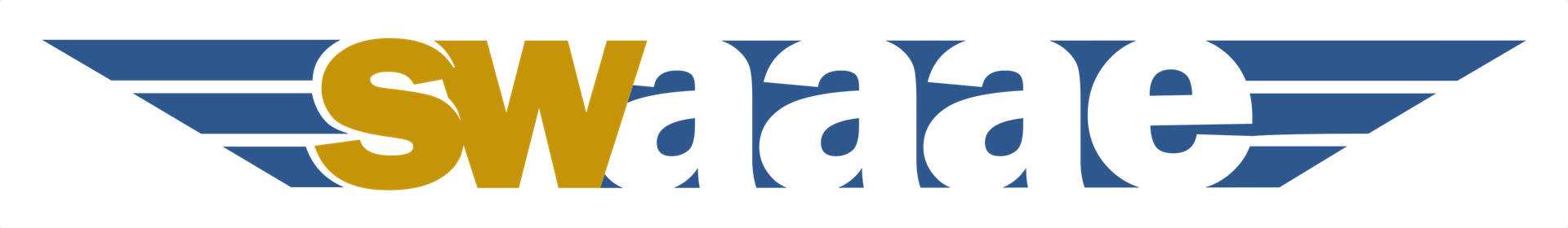 Southwest Chapter American Association of Airport Executives logo